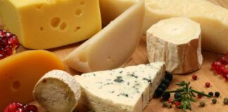 Freschi e stagionati i formaggi non si conservano allo stesso modo, piccola guida per non sbagliare e preservare aroma e consistenza Conservare formaggi - Ricettasprint.it