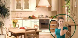 Nessun cattivo odore in cucina, ecco come dire addio alla puzza di cucinato Eliminare puzza di cucinato - Ricettasprint.it