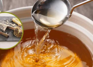 Fumetto di pesce: è l’ABC in cucina per risotti e minestre, ti salva la vigilia di Natale Fumetto di pesce - Ricettasprint.it