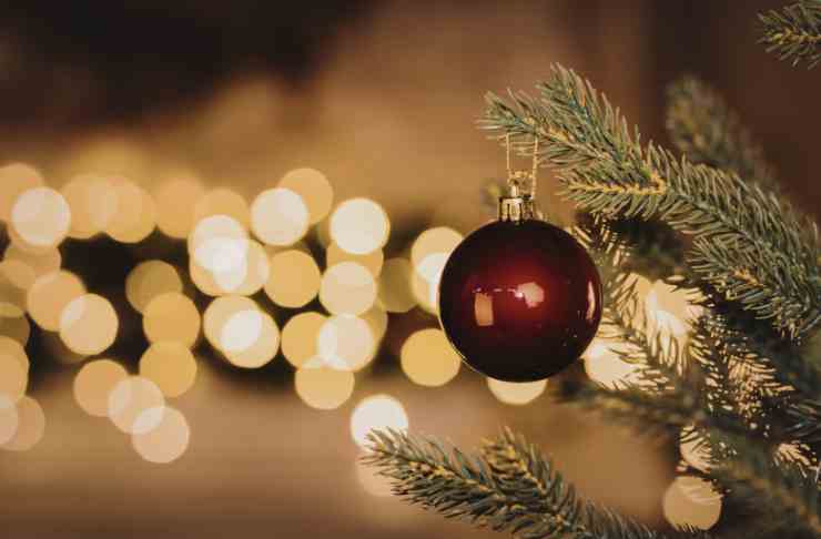 Palline da mettere sull'albero di Natale - Ricettaspint.it