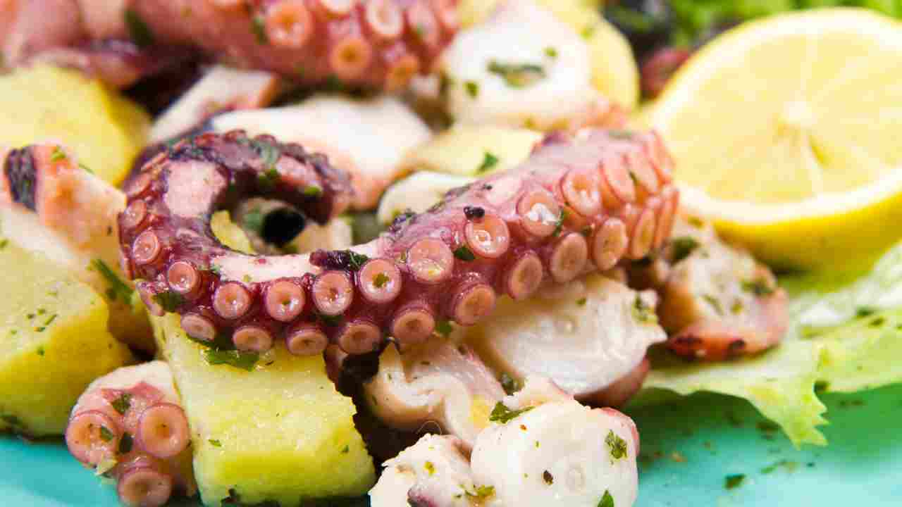 Polpo all'insalata Ricettasprint.it