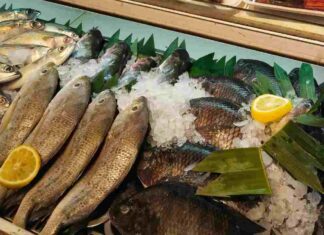 Riconoscere pesce fresco - RicettaSprint