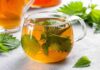 Tisana alle ortiche, la soluzione perfetta per dire addio alla ciccia prima di Natale Tisana alle ortiche - RicettaSprint