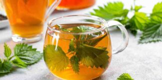 Tisana alle ortiche - RicettaSprint