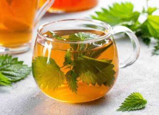 Tisana alle ortiche, la soluzione perfetta per dire addio alla ciccia prima di Natale Tisana alle ortiche - RicettaSprint
