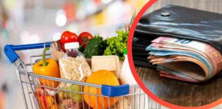 Ho scoperto il discount dove risparmiare davvero tantissimo, e non tornerò più indietro Carrello della spesa pieno e portafogli con banconote