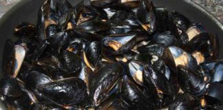 impepata cozze ricettasprint