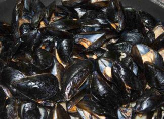 impepata cozze ricettasprint