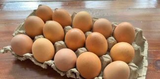 Come conservare le uova in frigo o no - RicettaSprint