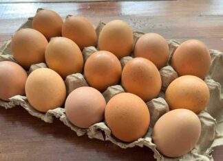 Come conservare le uova in frigo o no - RicettaSprint