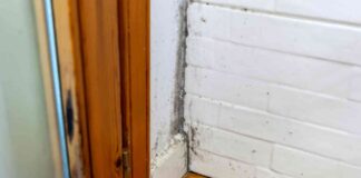 Come rimuovere muffa alle pareti - RicettaSprint