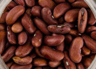 Cosa fare con l'acqua del barattolo di fagioli - RicettaSprint