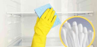 Ti basta un Cotton fioc per pulire il frigorifero, ti fa arrivare qui dove si sporca di più Cotton fioc per pulire il frigo - RicettaSprint