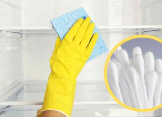 Cotton fioc per pulire il frigo - RicettaSprint