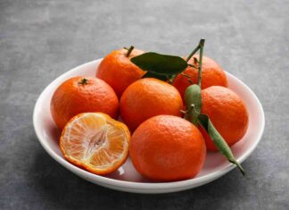 Mandarini o clementine quali sono le differenze - RicettaSprint