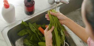 Pulire la verdura errori da non commettere- RicettaSprint