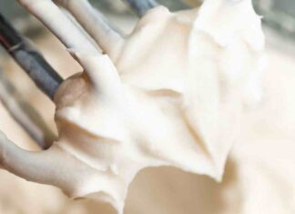 Chiudo in bellezza le festività con questa crema chantilly da mettere su quello è che è rimasto tra pandori e panettoni