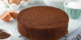 Se il pan di spagna lo fai alla nutella, la tua torta puoi anche non farcirla pan di spagna alla nutella