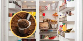 Caffè nel frigo contro gli odori - RicettaSprint