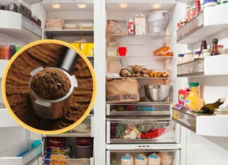 Caffè nel frigo contro gli odori - RicettaSprint