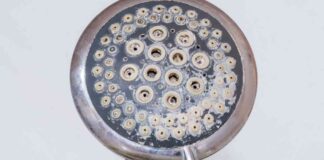 Come rimuovere il calcare dal doccino - RicettaSprint