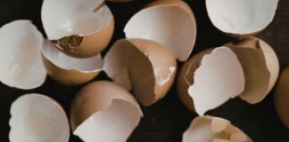 Come usare i gusci d'uovo nelle piante - RicettaSprint