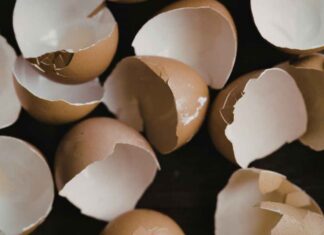 Come usare i gusci d'uovo nelle piante - RicettaSprint