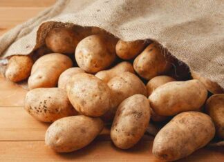 Come vanno conservate le patate a casa - RicettaSprint