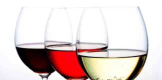 Cubetti di vino - RicettaSprint