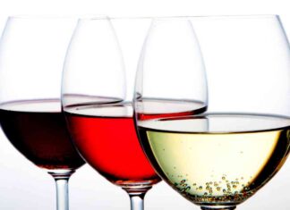 Cubetti di vino - RicettaSprint