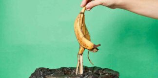 Dalle bucce al compost - RicettaSprint