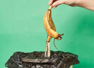 Dalle bucce al compost - RicettaSprint