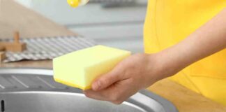 Ogni quanto cambiare le spugne per piatti - RicettaSprint