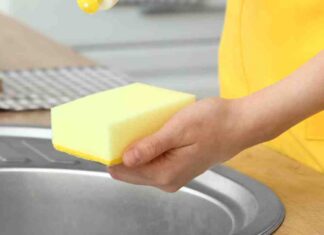 Ogni quanto cambiare le spugne per piatti - RicettaSprint