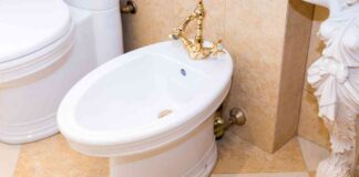 Pulire bidet senza aloni e calcare - RicettaSprint