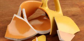 Tazze rotte dove si buttano i cocci - RicettaSprint