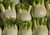 Finocchio: proprietà e benefici, perchè dovremmo introdurlo nella nostra dieta finocchi