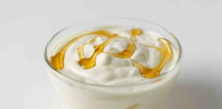 yogurt fatto in casa