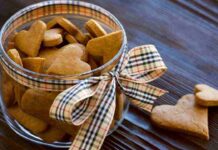 Biscotti allo zenzero senza uova, senza burro e senza zucchero - RicettaSprint