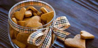 Biscotti allo zenzero senza uova, senza burro e senza zucchero - RicettaSprint