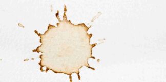 Macchie di caffè come toglierle - RicettaSprint