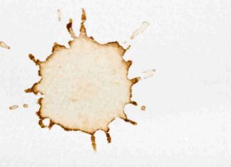 Macchie di caffè come toglierle - RicettaSprint