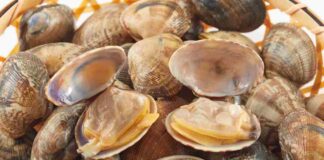 Pulire vongole - RicettaSprint