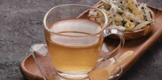 Tisana canarino, ne basta una tazza prima di andare a dormire Tisana canarino - RicettaSprint