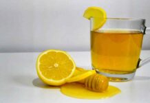 Tisana da mettere in fiaschetta - RicettaSprint