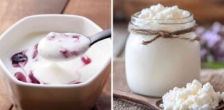 Yogurt Kefir quale ha meno calorie - RicettaSprint