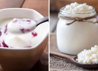Yogurt Kefir quale ha meno calorie - RicettaSprint