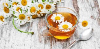 Camomilla per impacco capelli - RicettaSprint