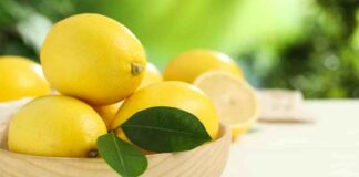 Come conservare i limoni in casa - RicettaSprint