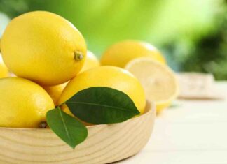 Come conservare i limoni in casa - RicettaSprint